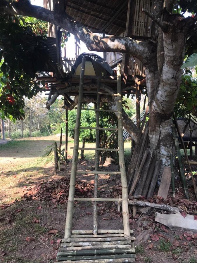 Amando_Tent Hotel พะเยา ภายนอก รูปภาพ